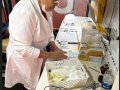 Sebrae Tocantins participa de campanha de doação de sangue em Palmas