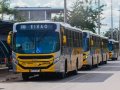 Nova operação do transporte de Palmas completa dois meses com aprovação de usuários