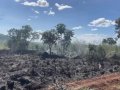 ​Incêndios mobilizam Defesa Civil e atingem áreas em diferentes regiões de Palmas no fim de semana