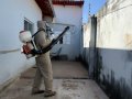 Capital intensifica ações contra arboviroses em áreas com maior incidência de casos suspeitos