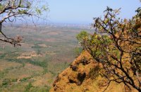 Parque Estadual do Lajeado celebra 23 anos com programação destinada a observação de aves