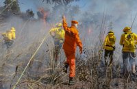 Governo do Tocantins publica edital para seleção de brigadistas florestais 