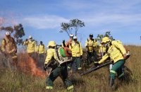 Naturatins conclui capacitação de brigadistas florestais no Parque Estadual do Lajeado