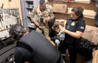 Polícia Civil deflagra operação contra célula de facção paulista radicada em Paraíso do Tocantins