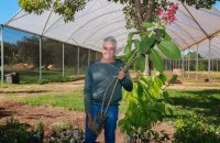 Histórias de Amor a Palmas: garimpeiro troca o ouro pelo verde e se transforma no jardineiro que ajudou a semear Palmas