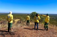 Brigada Gavião Fumaça do Naturatins aprimora práticas de Manejo Integrado do Fogo em intercâmbio com o Prevfogo do Ibama