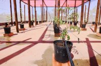 Prefeitura de Palmas finaliza preparativos da Fazendinha Agrícola