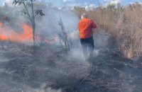 Defesa Civil de Palmas combate incêndio de grandes proporções em fazenda no distrito de Buritirana