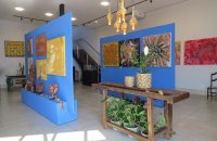 Um Ano de Arte, Cultura e Inovação: AMAN comemora um ano com exposição AMANhecer