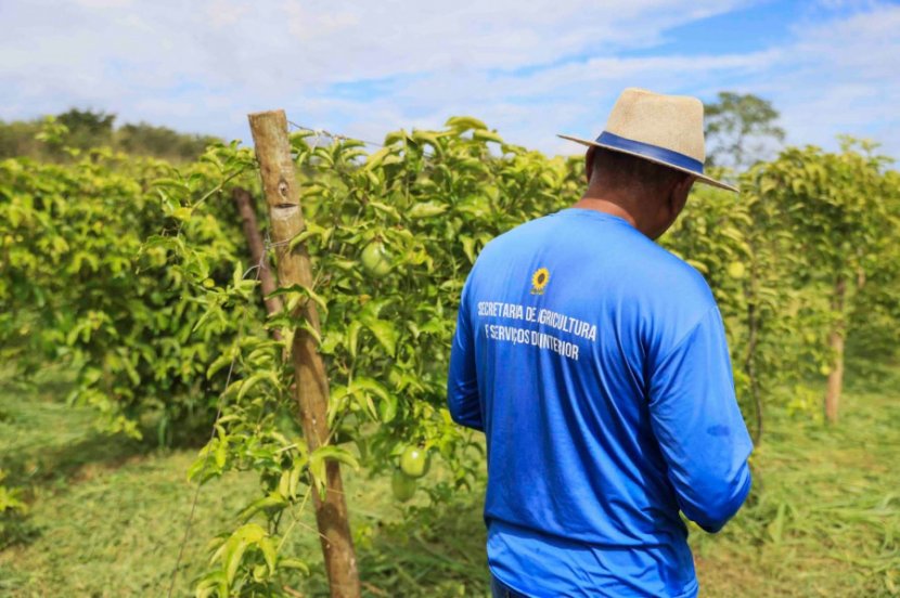 Fazendinha AGROTINS 2026 
